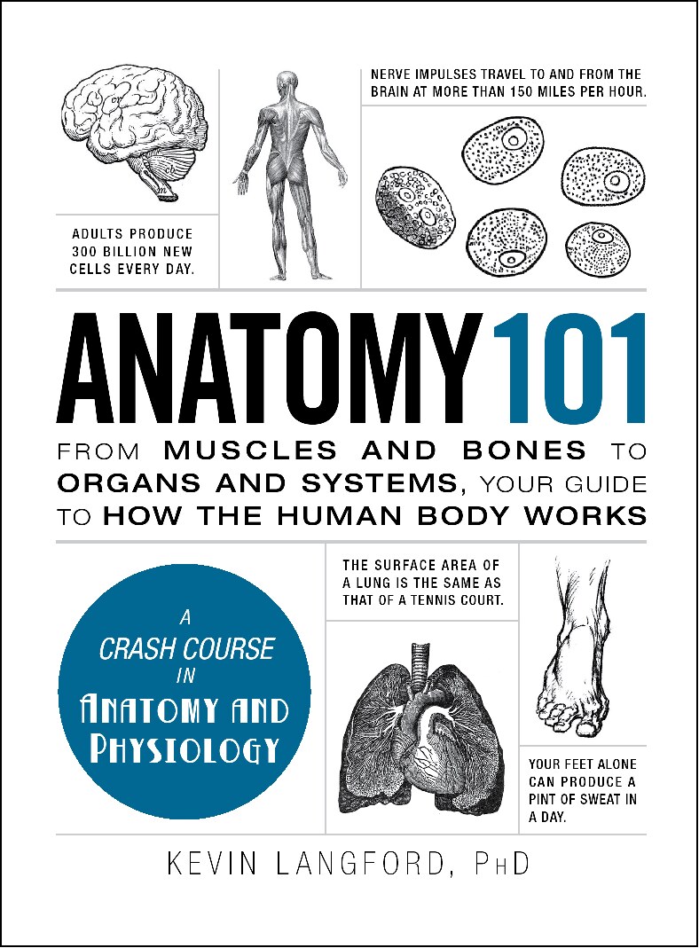 Anatomy 101 (Kevin Langford) (z-lib.org)
